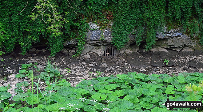 The River Manifold below the  old bridge below Wettonmill