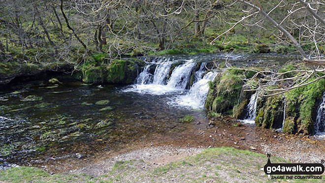 Walk d127 Lathkill Dale and Bradford Dale from Youlgreave - The River Lathkill in Lathkill Dale