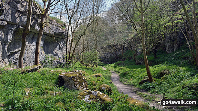 Walk d105 Over Haddon and Lathkill Dale from Monyash - Beautiful Lathkill Dale