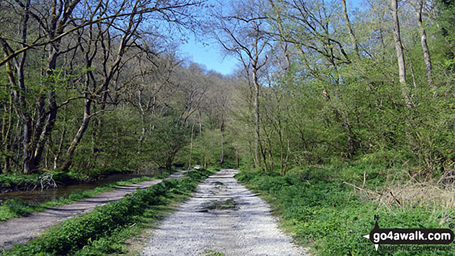 Walk d105 Over Haddon and Lathkill Dale from Monyash - Lovely Lathkill Dale