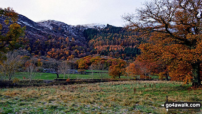 Woodend Brow, Bassenthwaite Lake