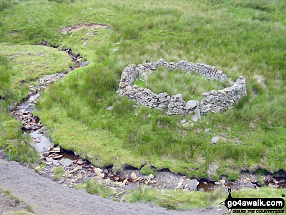 Sheepfold beside Stonesdale Beck