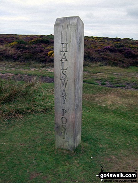 Walk so109 Black Hill (Quantocks) and Hurley Beacon from Holford - Halsway Post