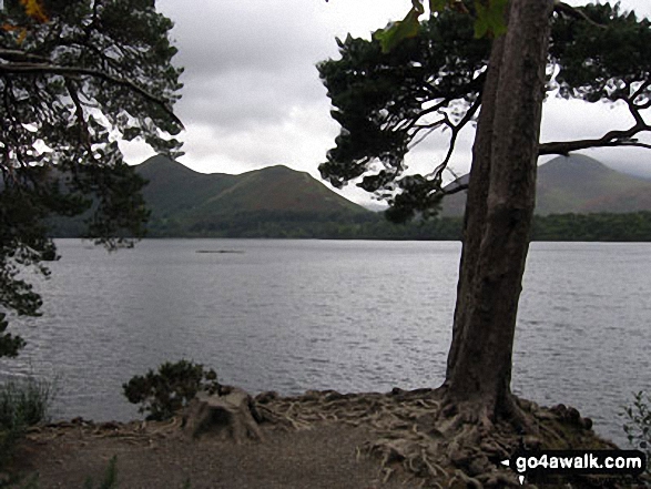 Derwent Water with Maiden Moor, Cat Bells (Catbells) and Causey Pike (right) beyond from Friar's Crag