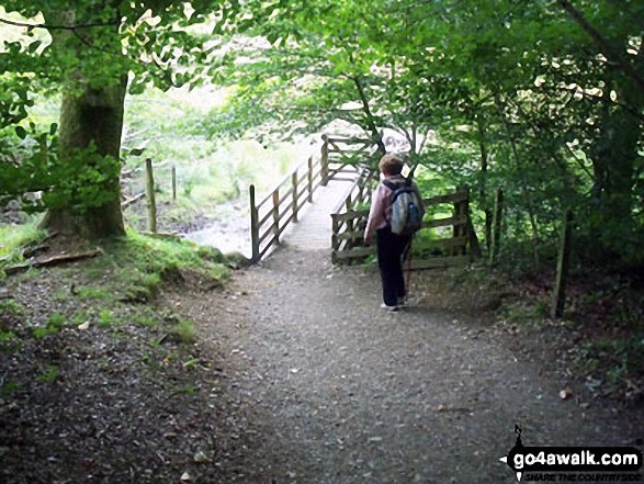 The track from Cat Bells to Nichol End