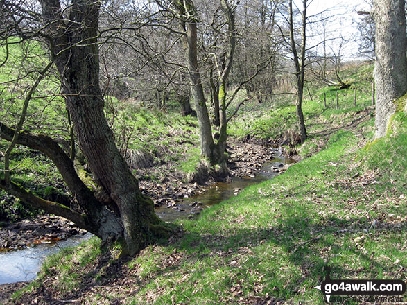 Warslow Brook near Upper Elkstone