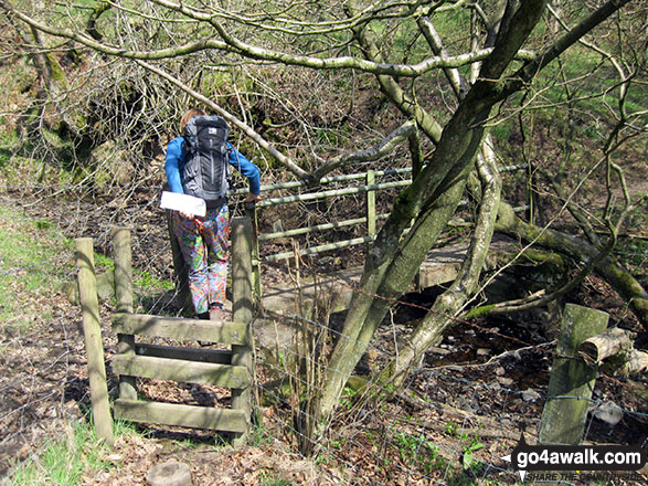 My wife negotiating a footbridge over Warslow Brook near Upper Elkstone