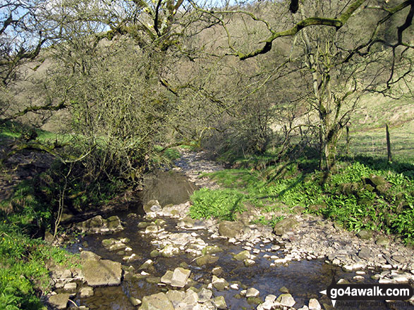 Hoo Brook near Butterton