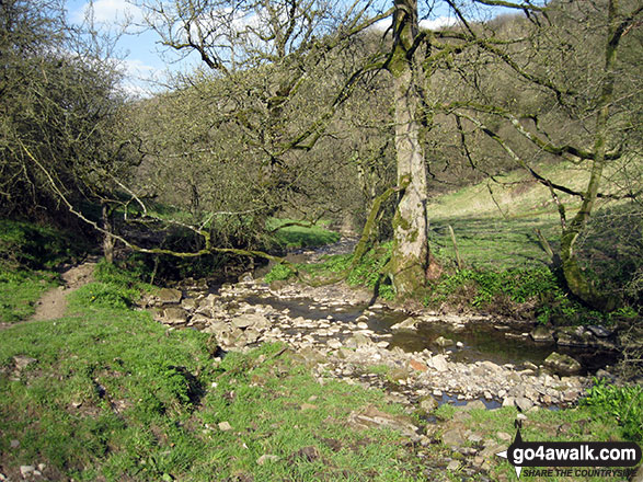 Hoo Brook near Butterton