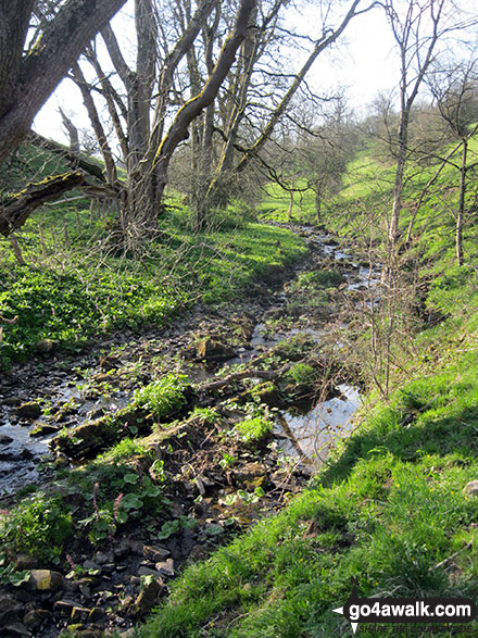 Walk s201 Grindon Moor, Grindon and Weag's Bridge from Butterton - Hoo Brook near Butterton