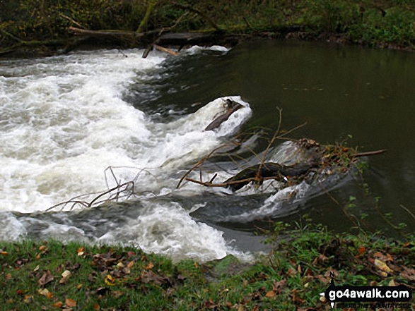 The River Wye in Water-cum-Jolly Dale