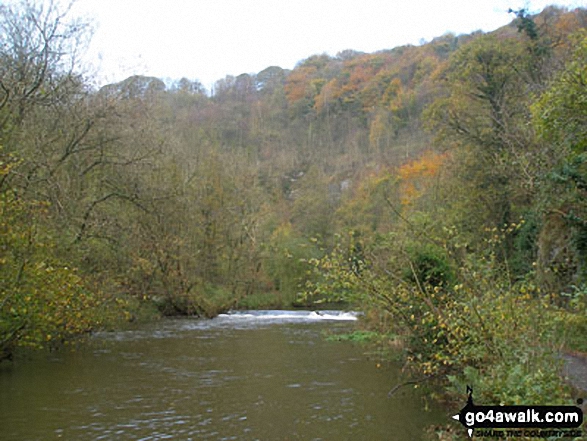 The River Wye in Water-cum-Jolly Dale