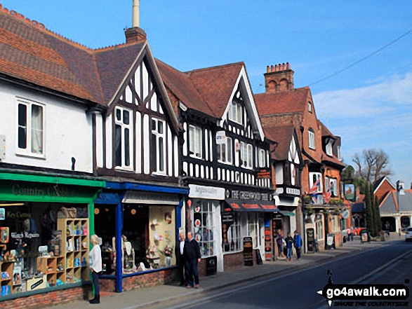 Lyndhurst in The New Forest, Hampshire, England by Brian Woodier (5)