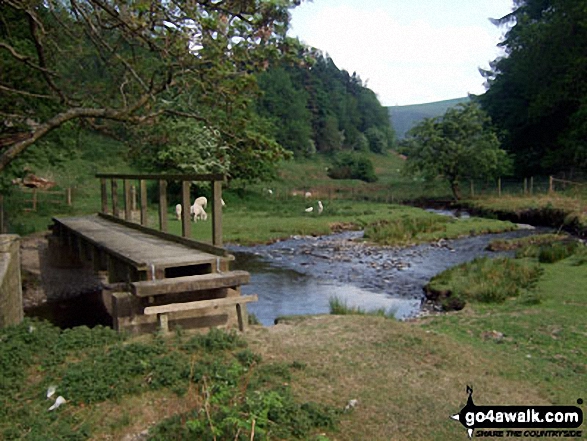 The footbridge over Harley Dingle Brook, Lower Harley, Radnor Forest