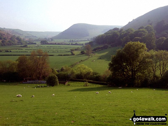 Mynd (Radnor Forest) from Harley Gorse, New Radnor, Radnor Forest