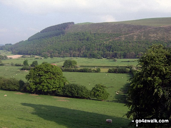 The Smatcher from Harley Gorse, New Radnor, Radnor Forest