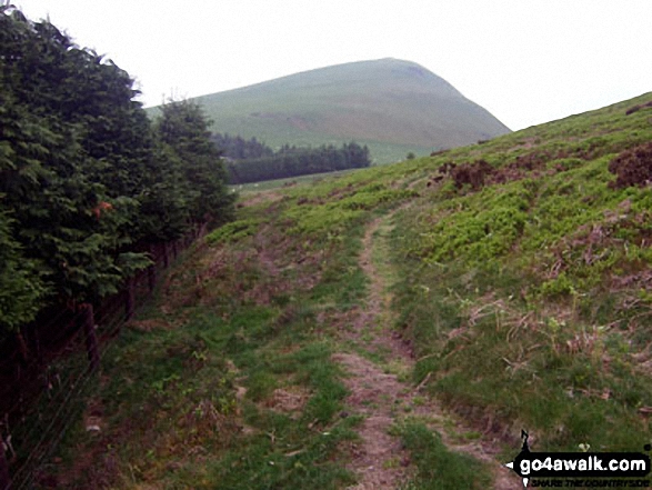 Walk Route Map po103 Bache Hill, Black Mixen and Great Rhos from New Radnor