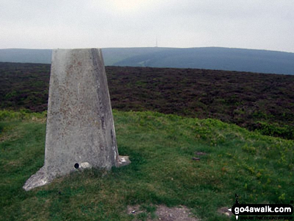 Bache Hill Photo by Bryn Owens