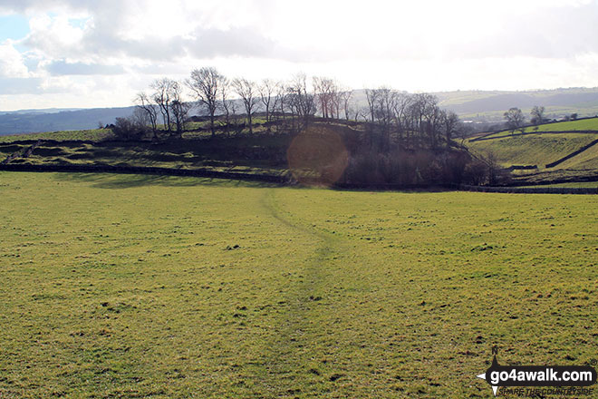 Walk d305 Stoney Middleton, Coombs Dale, Longston Moor, Wardlow Hay Cop and Foolow from Eyam - Coppice from the bottom of Longstone Edge