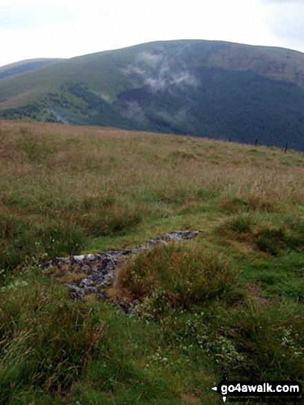 Tarrenhendre from Mynydd Rhyd-galed summit