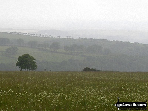 Walk de143 Steeperton Tor and Cosdon Tor from Belstone - The Dartmoor countryside South of Belstone