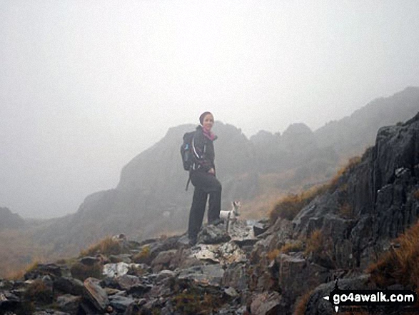 Walk gw158 Garnedd Ugain, Snowdon, Moel Cynghorion, Foel Gron and Moel Eilio from Llanberis - It's a bit foggy but here is a photo of me and our little hiking Jack Russell at the top of Snowdon :)