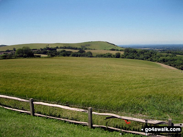 Walk ws140 Jack and Jill and Wolstonbury Hill from Clayton - Wolstonbury Hill from The Jack and Jill Windmills above Clayton