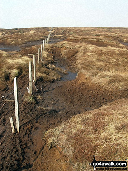 Walk c448 Renwick Fell (Thack Moor) from Renwick - Boggy ground on Haresceugh Fell