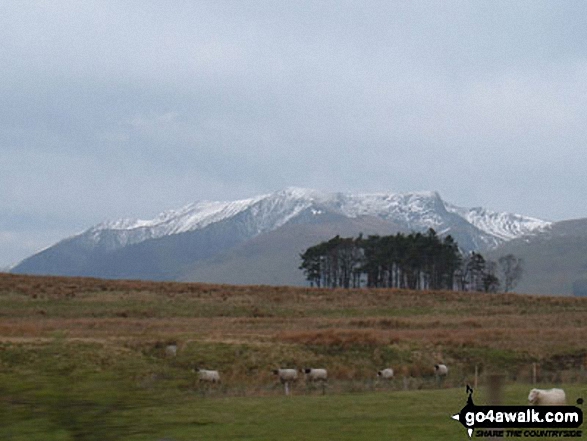 Walk c170 Blencathra or Saddleback via Hall's Fell Ridge from Threlkeld -  Blencathra from Threlkeld