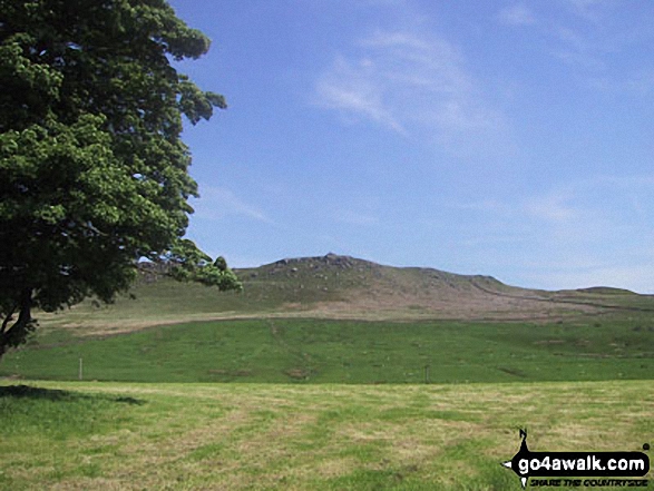 Fields near Embsay