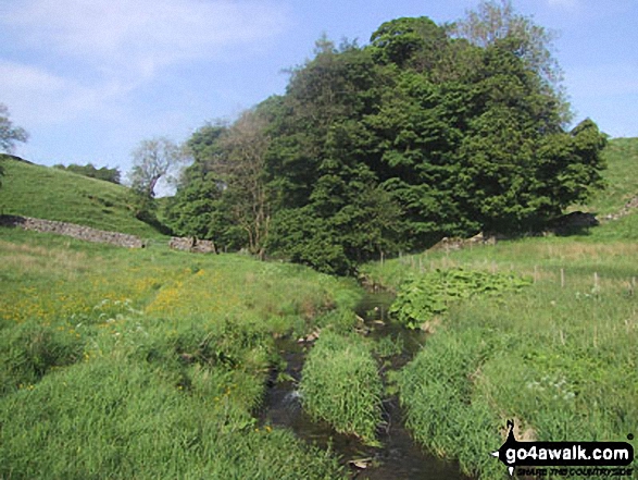 Walk ny167 Ryelstone Fell, Sharp Haw and Rough Crag from Embsay - Stream near Flasby