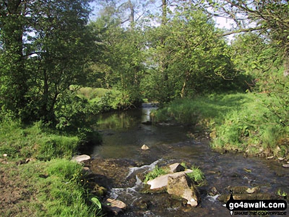 Stream near Flasby