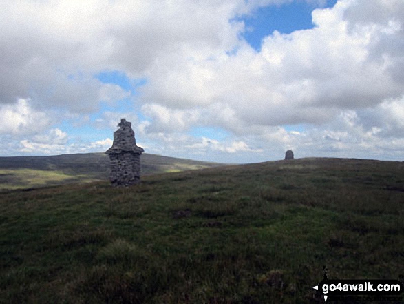 Tower/Currick on Murton Herds