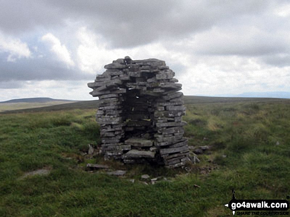 Throne on Murton Herds