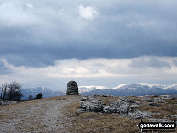 Lord's Seat (Whitbarrow Scar) summit