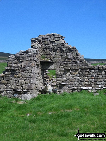 Walk ny207 Yockenthwaite Moor from Buckden - Ruin on Yockenthwaite Moor