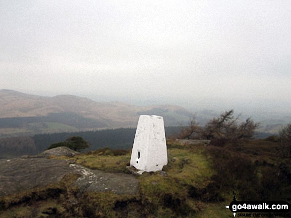 Walk ny167 Ryelstone Fell, Sharp Haw and Rough Crag from Embsay - Crookrise Crag Top summit trig point