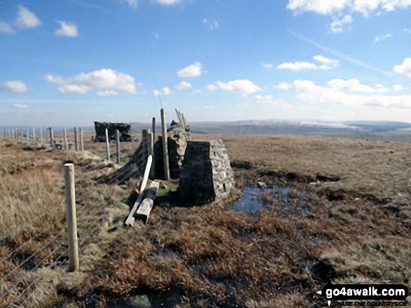 Walk c319 Cross Wold from Dent Railway Station - Great Knoutberry Hill (Widdale Fell) summit trig point