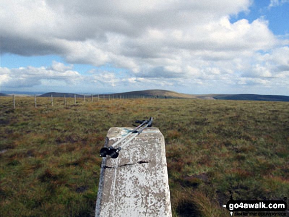 Bloodybush Edge summit trig point