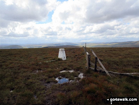 The boggy approach to Bloodybush Edge summit trig point