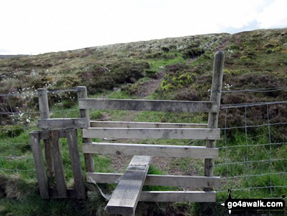 Walk c413 Burnbank Fell, Gavel Fell and Hen Comb from Loweswater - Stile and cotton grass on the way from Burnbank Fell to Blake.