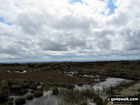 Bog on The Cheviot