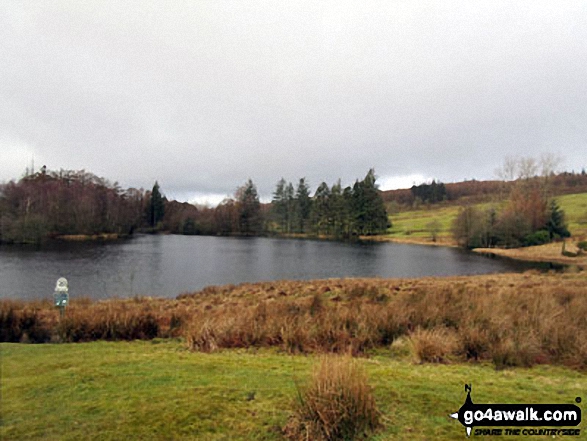 Moss Eccles Tarn on Claife Heights