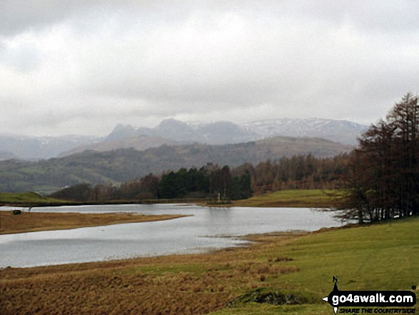 The Langdale Pikes from Wise Een Tarn on Claife Heights