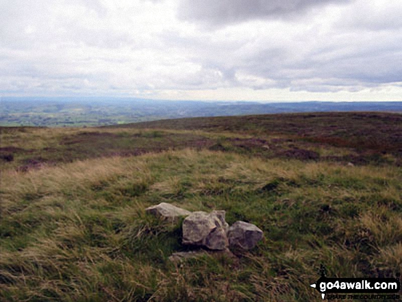 On The Forest (Bannisdale) summit