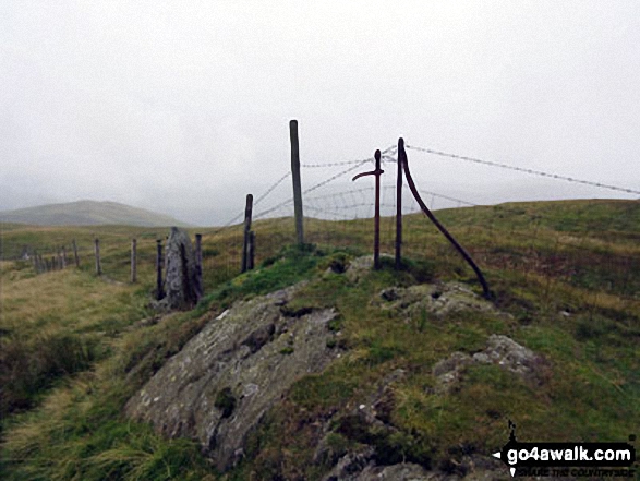 Fence posts near the summit of Capplebarrow