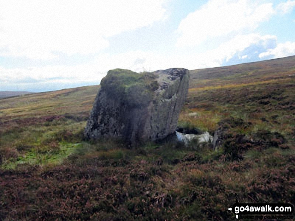 Walk c431 The Wet Sleddale Wainwright Outlying Fells - Gray Bull near Sleddale Pike