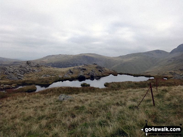 Walk c160 Pillar from Gatesgarth, Buttermere - Small tarn near the summit of Looking Stead (Pillar)