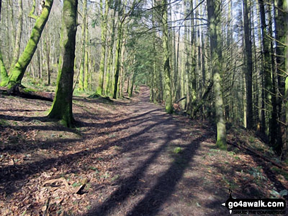 Walk c429 Dunmallard Hill (Dunmallet) from Pooley Bridge - The path up Dunmallet from Pooley Bridge