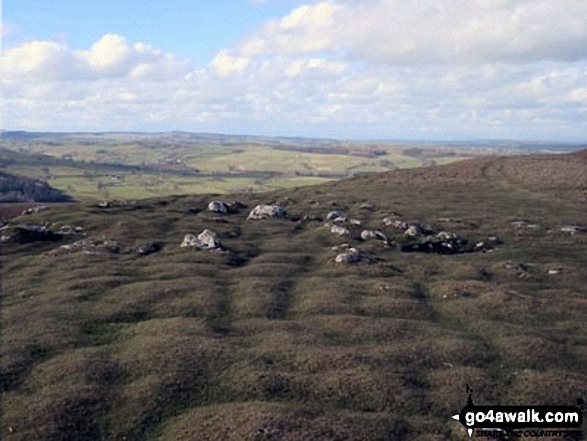 Grass covered limestone pavement on Heughscar Hill